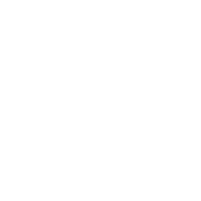 Projekt_Text_CH_it (1)
